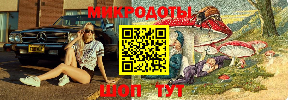 Псилоцибиновые грибы Psilocybine cubensis Геленджик