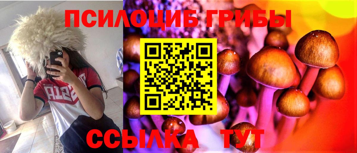 Геленджик  Псилоцибиновые грибы Psilocybine cubensis  Вход с VPN  Псилоцибиновые грибы Psilocybe 